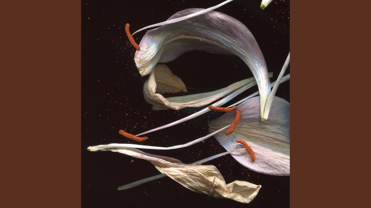 The Swift