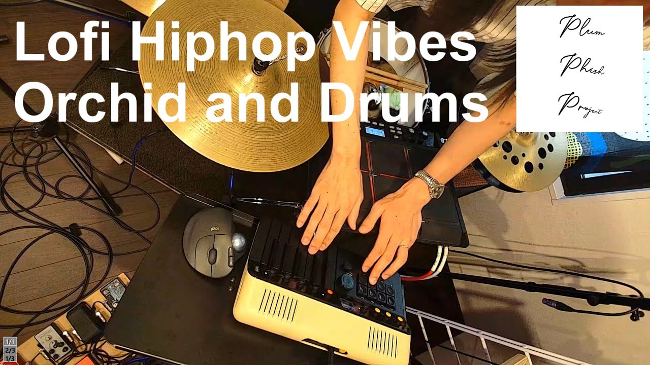 Orchid Lofi Hiphop but Jazz Beat #drums #orchid #lofihiphop #lofijazz #indie