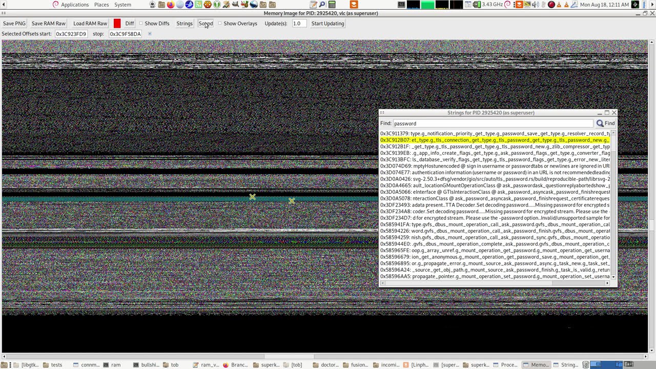 Interpreting Linux Process RAM dumps as wav files with Perl/Gtk2