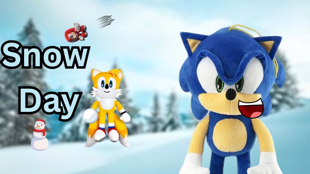 Sonic And Friends Play Snow!? - PlushDashZone