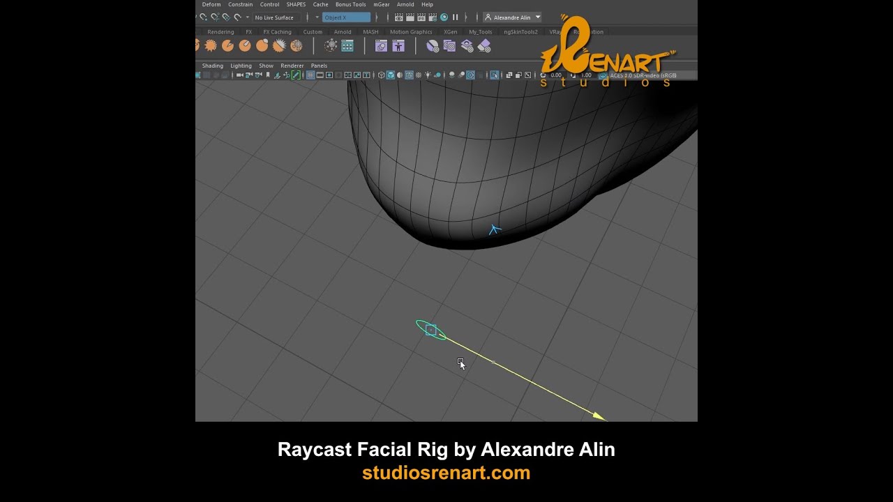 Raycast Facial Rig Demo - Maya Bifrost