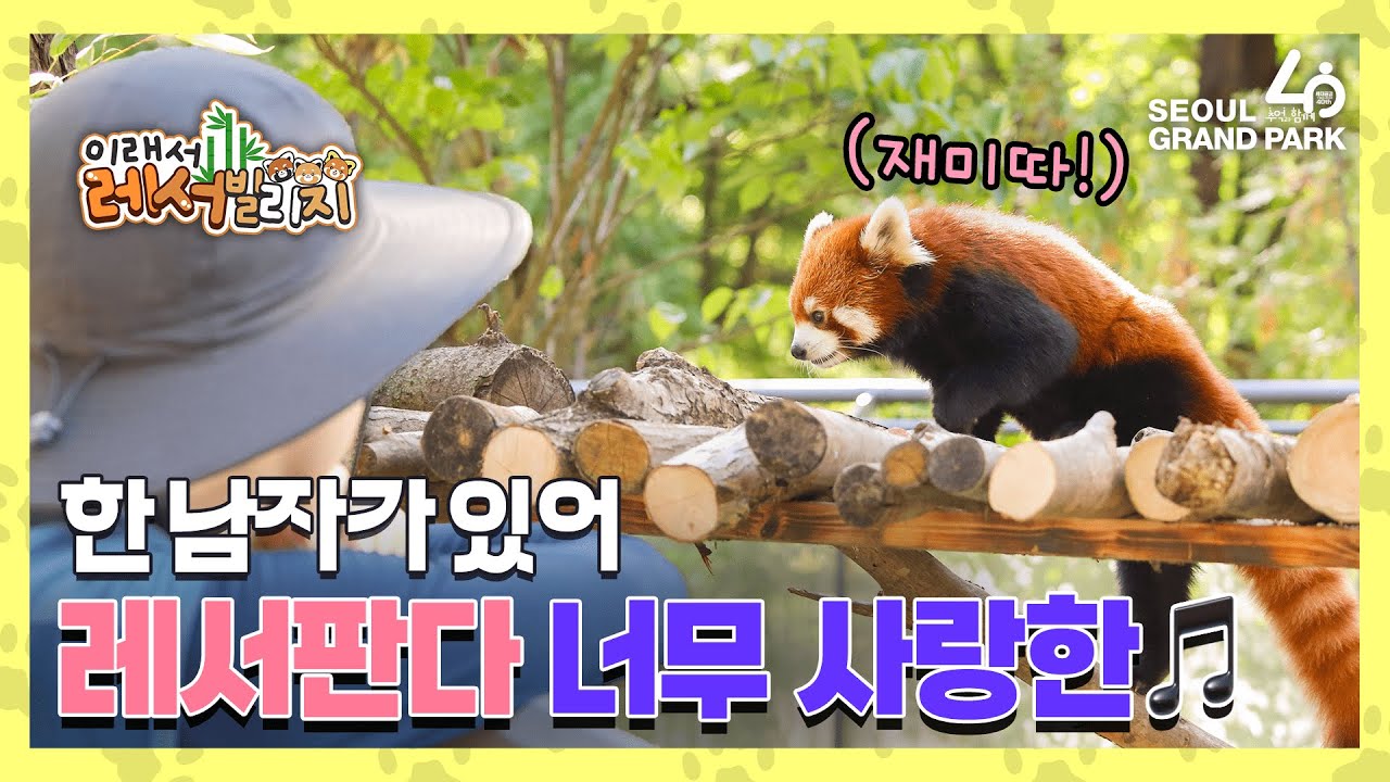 한 남자가 있어 레서판다 너무 사랑한🎵