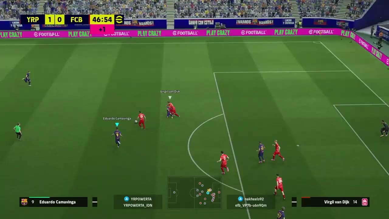 AMATEUR VS EVERYBODY 