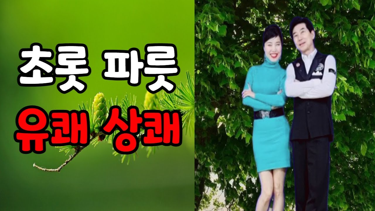 배석철 댄스 박영재 댄스 퀸과 킹 초롯 파릇 유쾌 상쾌 지루박 #배석철댄스 #사교댄스 #지루박 #카바레 #콜라텍