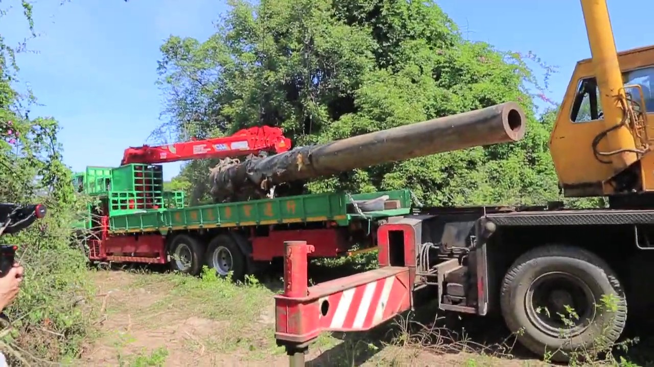 金門古崗巨靈240mm榴砲備用砲管吊運作業