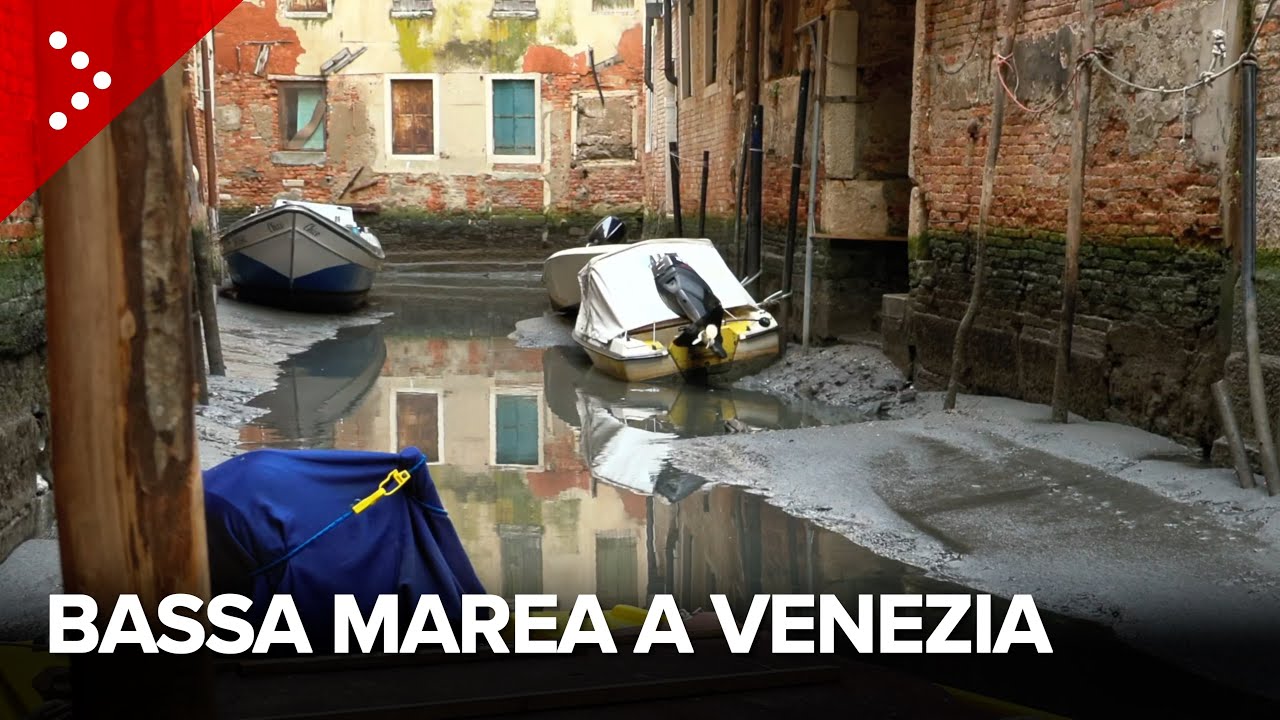 Bassa marea a Venezia, picco sui -45 cm: canali in secca e barche arenate lungo le sponde