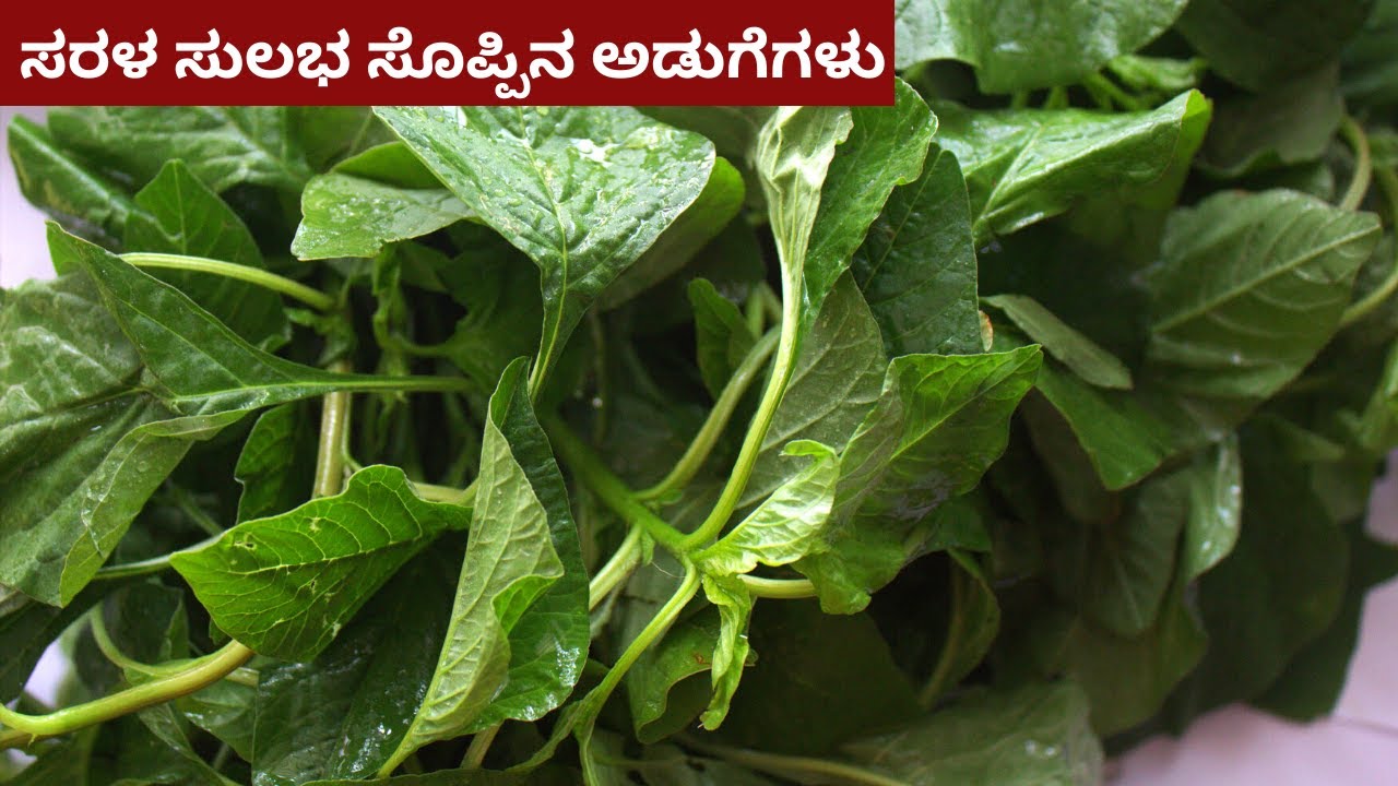 ದಿನಕ್ಕೊಂದು ಸೊಪ್ಪಿನ ಅಡುಗೆಗಳು ಚಪಾತಿ  ಮುದ್ದೆ ಅನ್ನಕ್ಕೆ | soppu adugegalu | healthy greens recipes