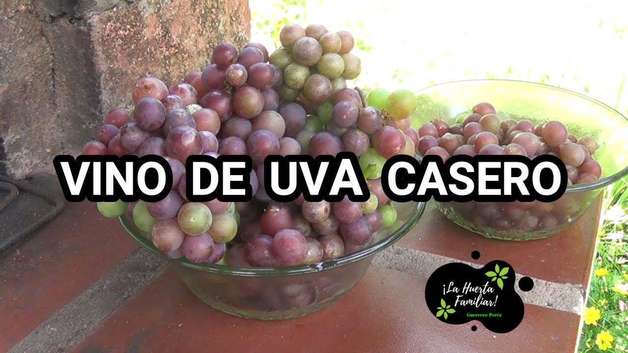 Como hacer vino de uva casero muy fácil // paso a paso