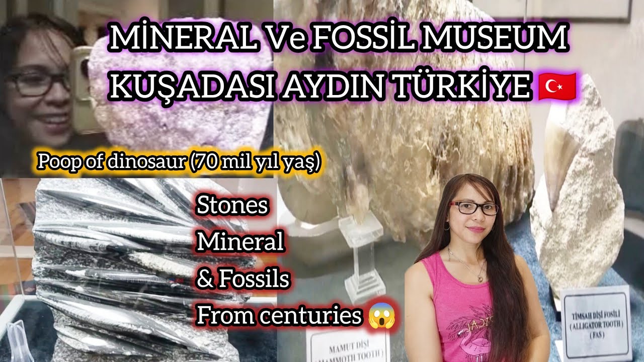 МУЗЕЙ МИНЕРАЛОВ И ИСКОПАЕМЫХ КУШАДАСЫ, ТУРЦИЯ🇹🇷 2 МИЛЛИАРДА ЛЕТ.😱 @FilTurkVlog