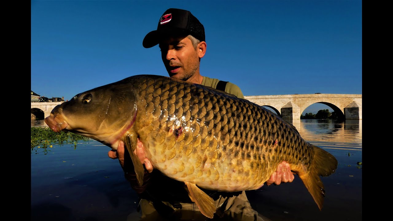 CARPE AREA VOLUME 2 - La Loire