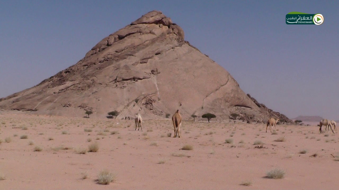 شيلة وتصوير كلها على ذوق العفراني