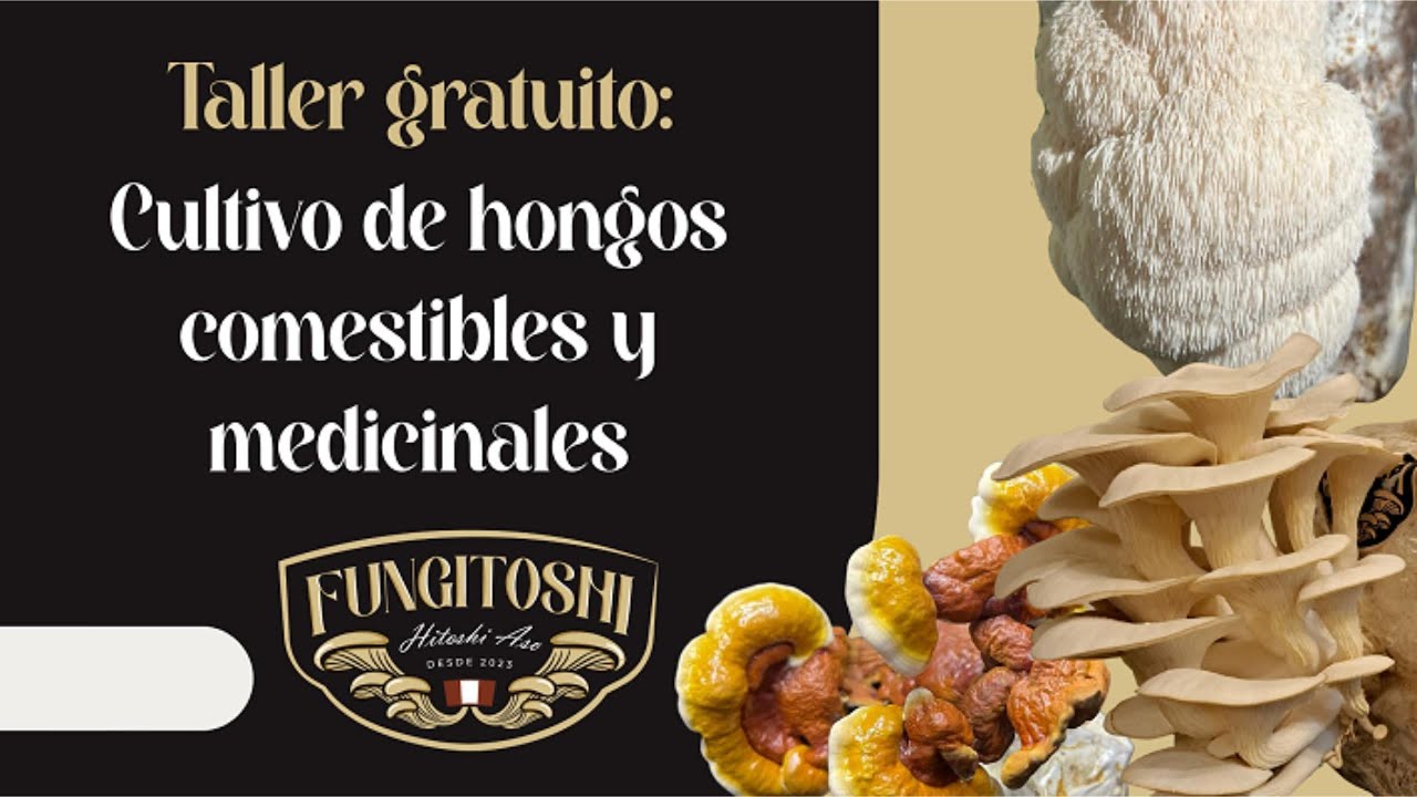 Taller virtual: Cultivo de hongos comestibles y medicinales