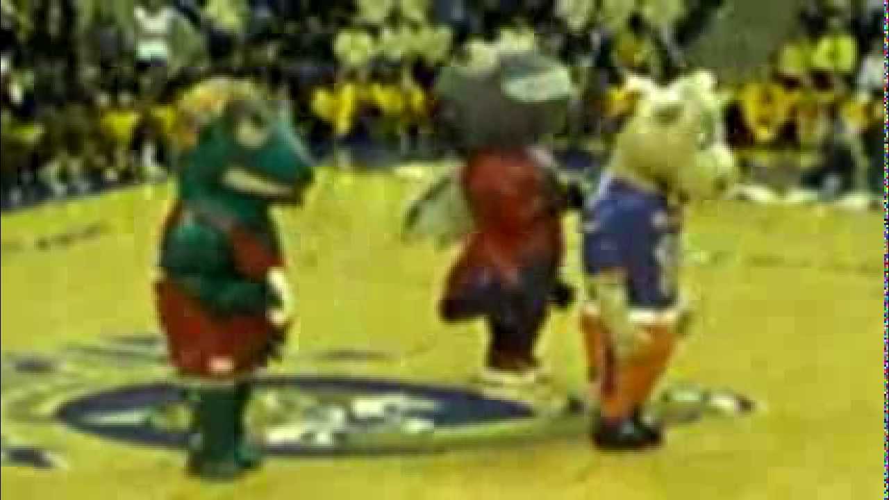 Quinnipiac homecoming 2012