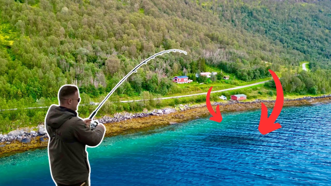 Je pêche un POISSON INCONNU dans ce Fjord des îles Lofoten !! (Norvège)