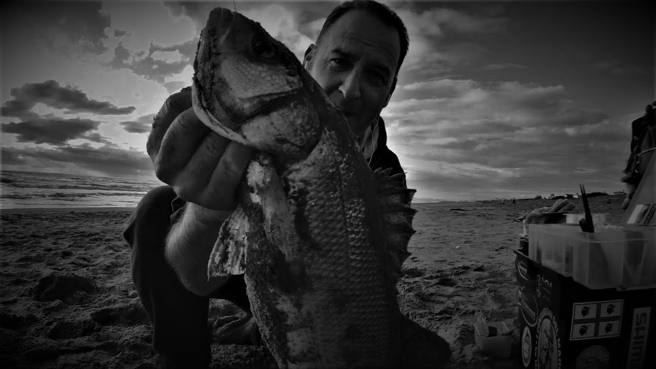 surfcasting...paf...captate interferenze con piccoli segni di vita dal pianeta Mare
