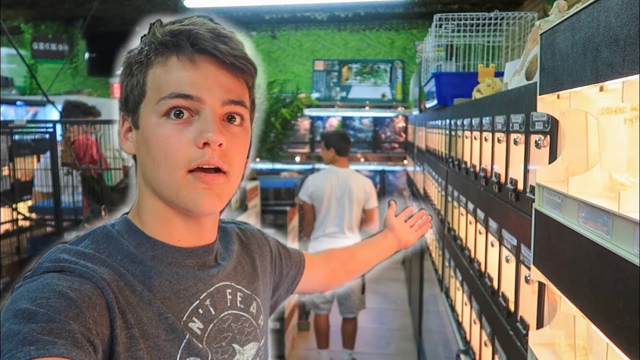 INSANE REPTILE STORE TOUR!