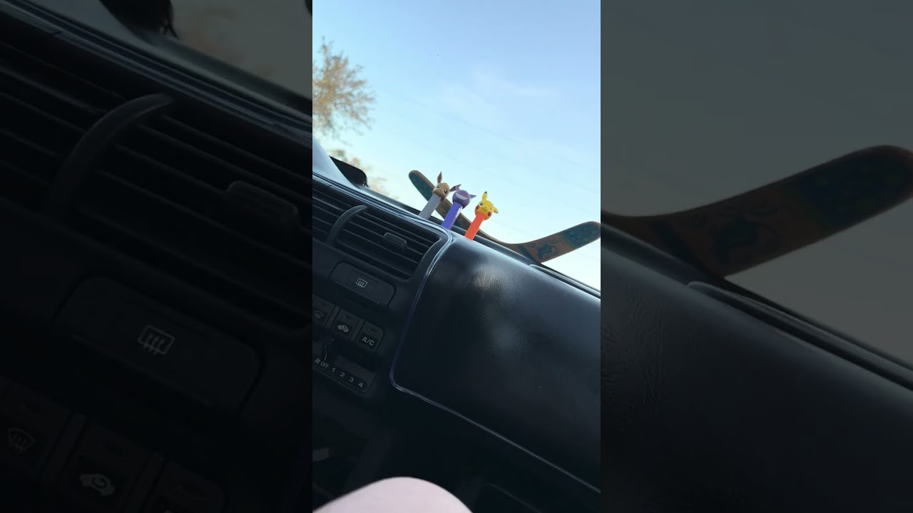 ￼ how to keep cops out of your car