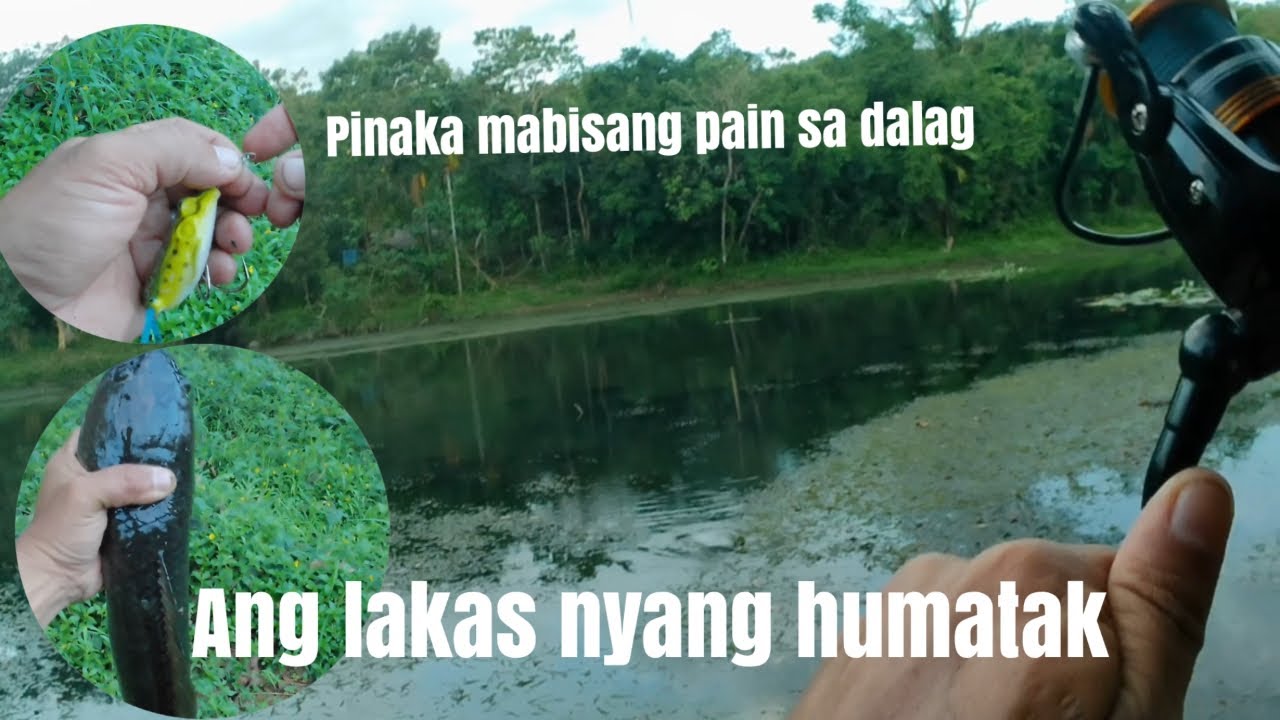 MAGANDANG PAIN EP20. MABISANG PAIN SA DALAG | the best lures for Snakehead | Ang lakas lumila nito