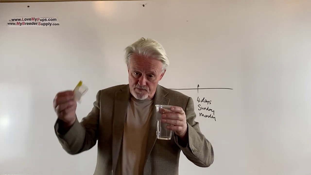 Хранение спермы собак для нескольких ИИ