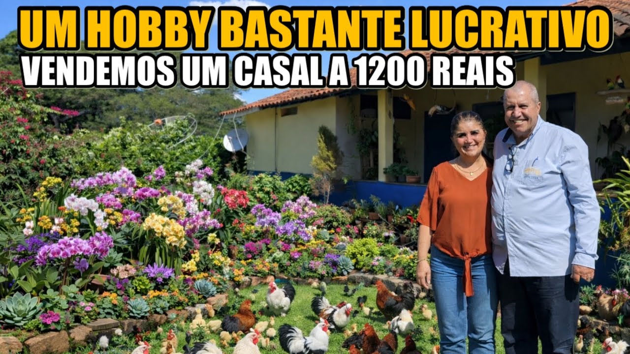 GALINZÉS MENORES MENORES QUE UM POMBO - @CriatórioSD 