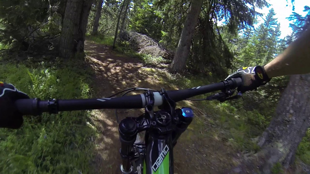 Pal&ugrave; Bike Park Valmalenco - Boletus Friridis