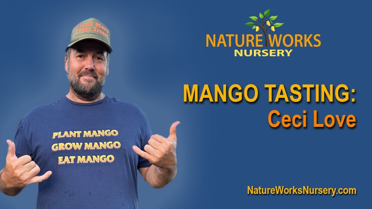 Mango Tasting: Ceci Love