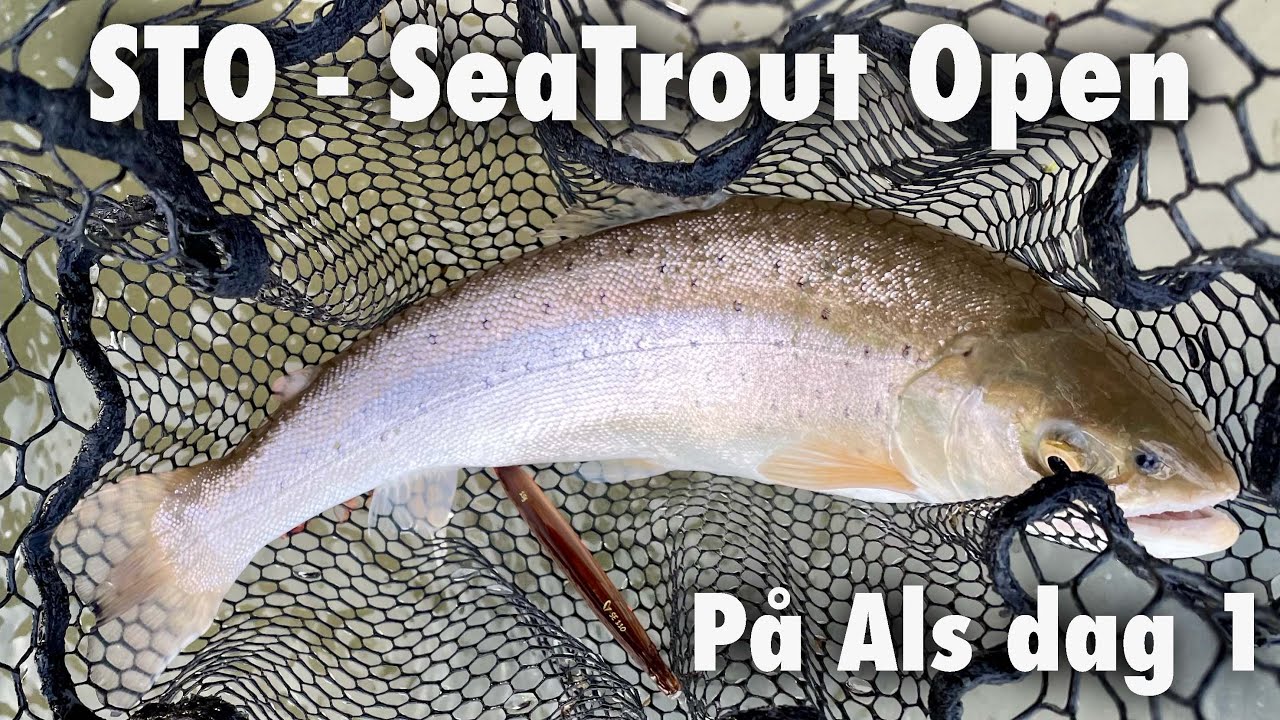 STO SeaTrouit Open 🎣 Sønderjylland/Als Del 1 🐟 Havørredfiskeri