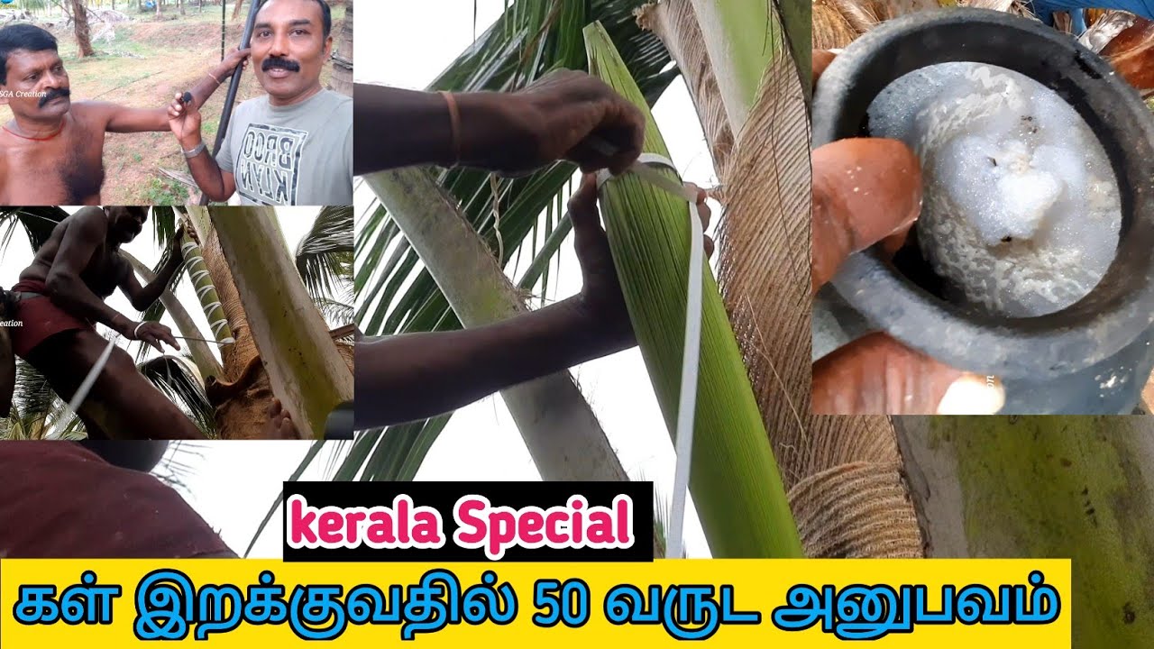 ஐம்பது வருட அனுபவம் மிக்க கள் இறக்கும் தொழிலாளி|Kerala Toddy /கேரளா ஸ்பெஷல்|
