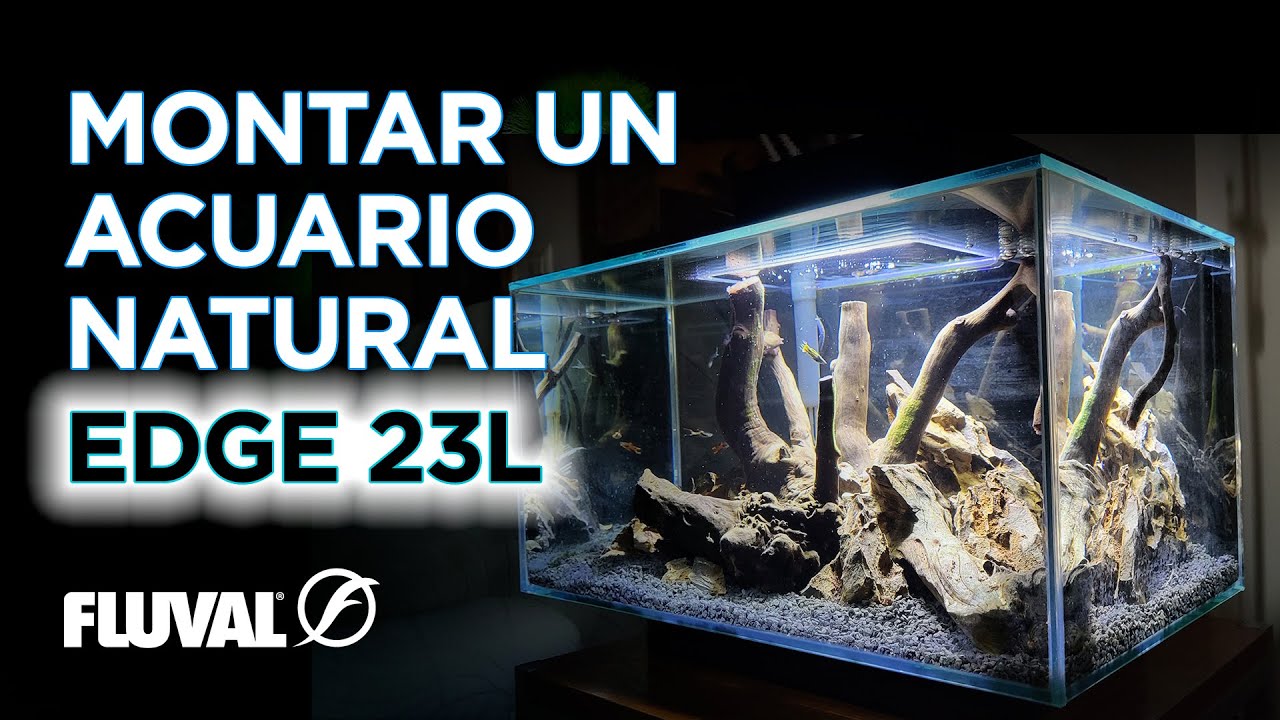 Montaje de un Acuario Natural en un Fluval Edge 23L