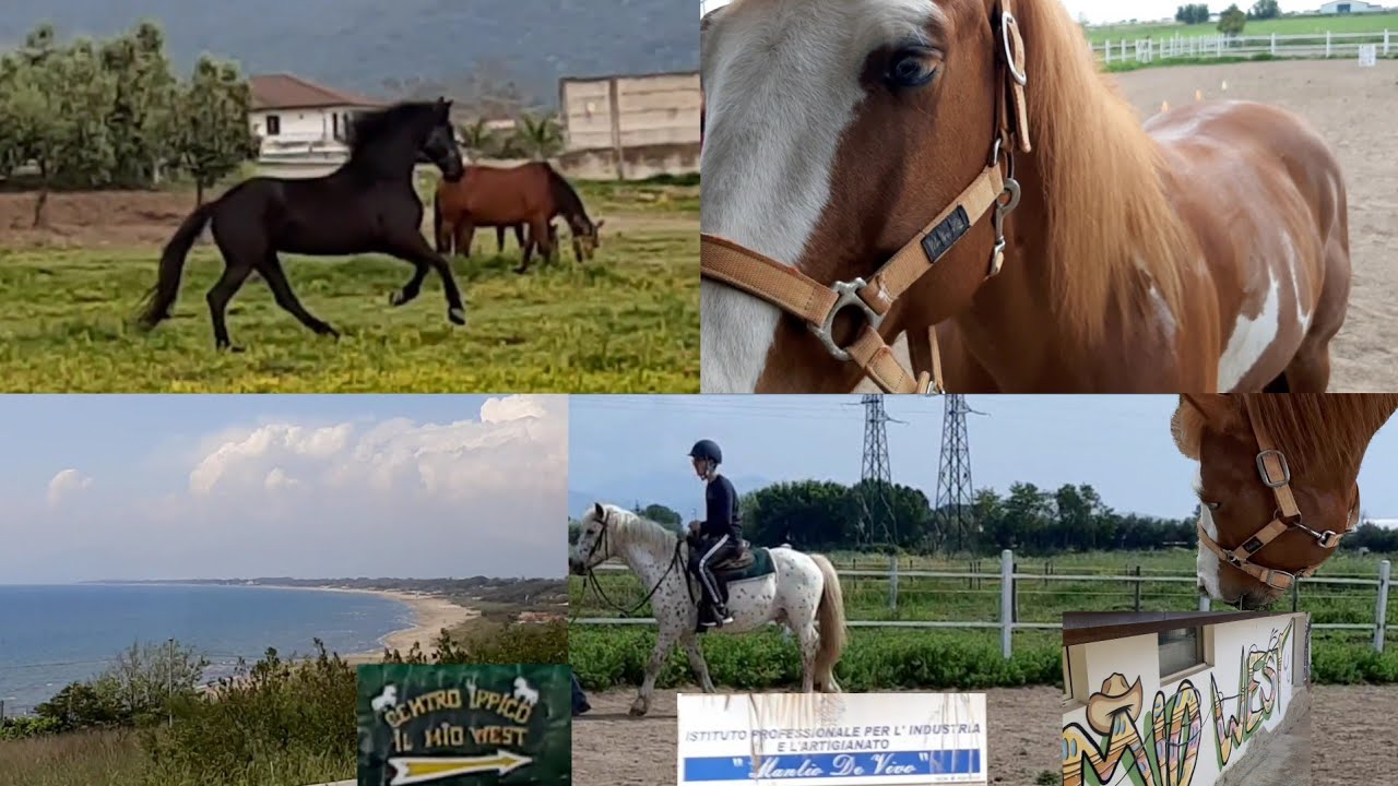 Con il cavallo dalla scuola prima volta (Mercoledì 04/05/2022)