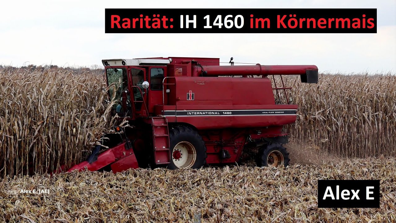 Echte Rarität! 40 Jahre alter International Harvester 1460 Axial Flow Drescher in der Maisernte 2023
