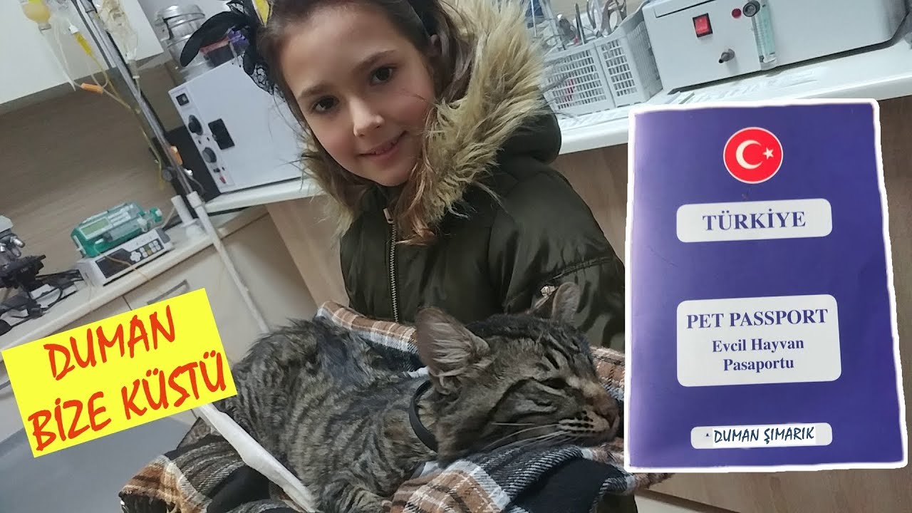 DUMAN BİZE KÜSTÜ. ELİFE BAKMADI. KEDİCİK DUMAN AŞI OLDU. OPERASYON GEÇİRDİ.
