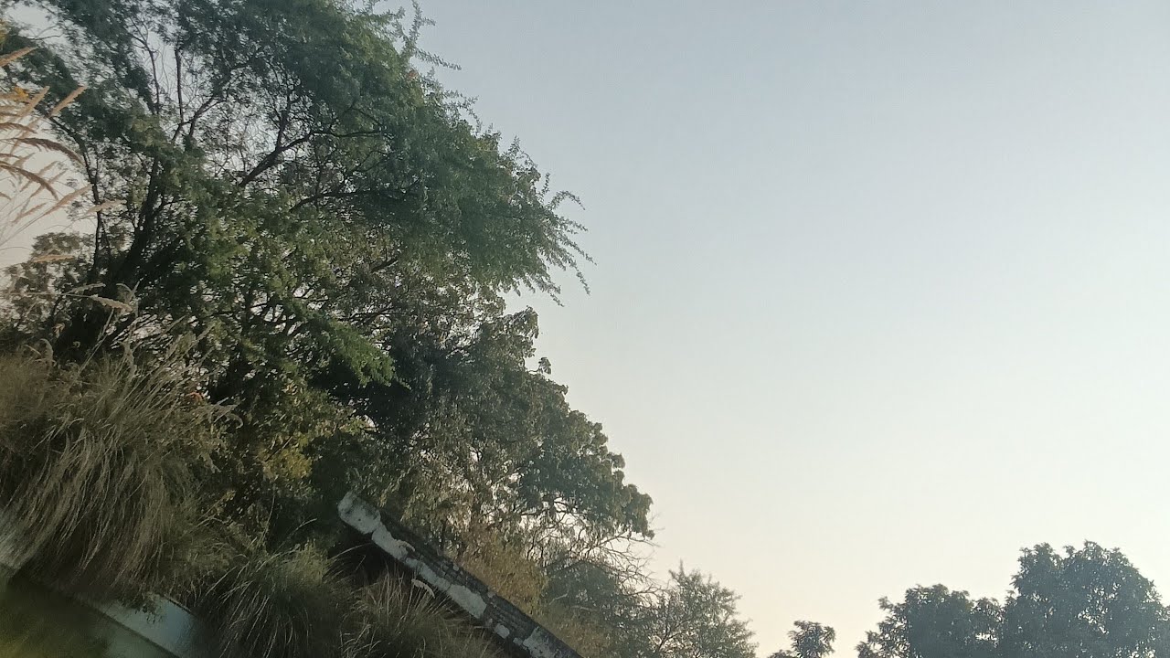 लाइव ❤❤🌹🌹🌿