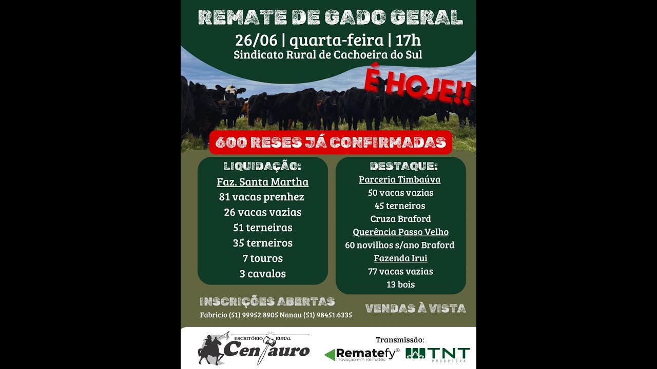 Remate de Gado Geral - Centauro