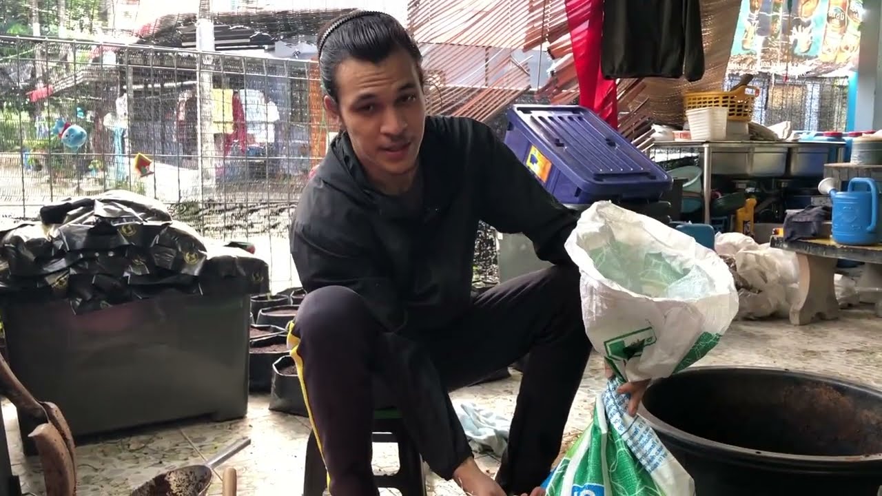 วิธีทำเบดดิ้งไส้เดือนที่ดีกว่าการแช่มูลวัว (How to PRE-COMPOST)