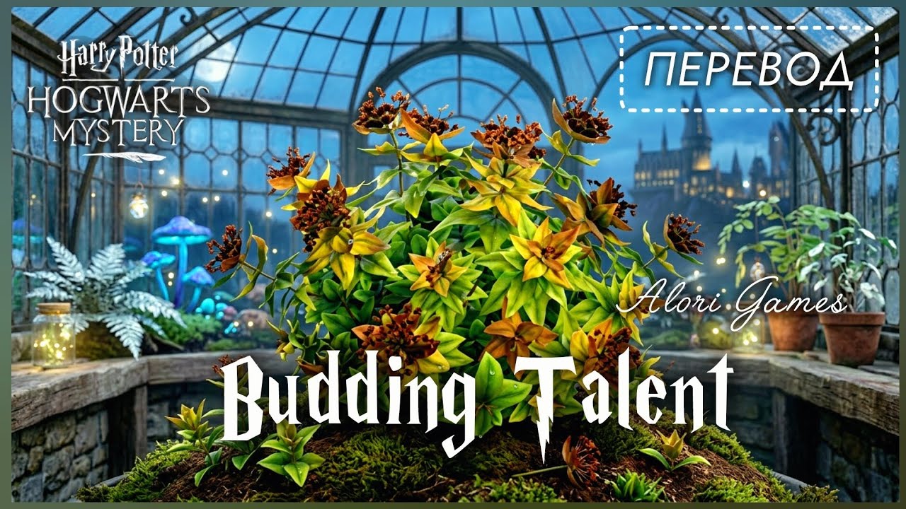 Budding Talent перевод и прохождение квеста в Harry Potter: Hogwarts Mystery