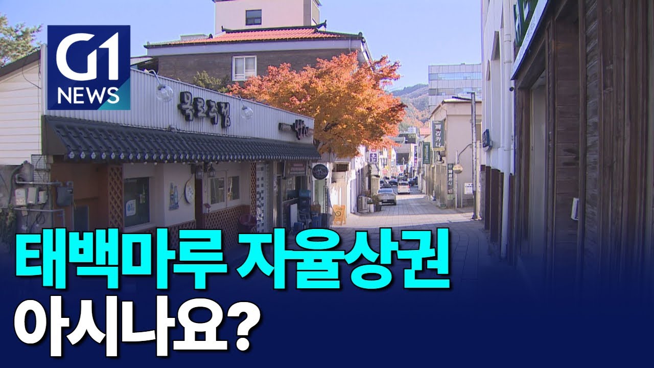 [G1뉴스]태백마루 자율상권 시동..상권 활성화 기대