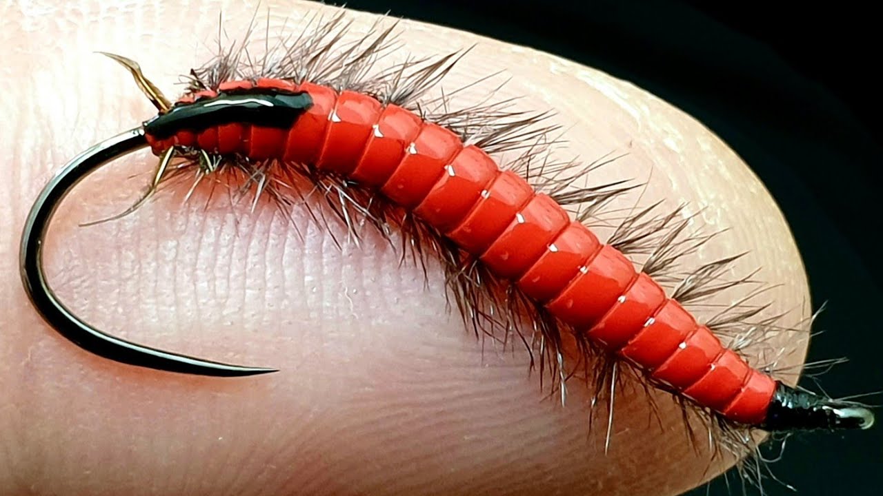 The Killer Bloodworm🔥🔥🎣