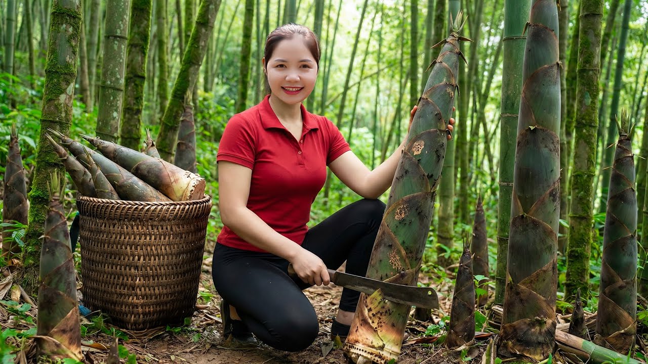 TIMELAPSE - Harvesting 1000+ Young Bamboo Shoots Goes To Maket Sell, Garlic Stir-Fried Bamboo Shoots