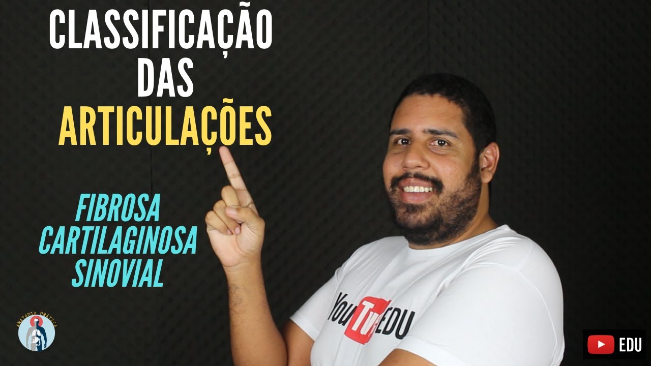 Articula&ccedil;&otilde;es: Classifica&ccedil;&otilde;es gerais | Anatomia pr&aacute;tica