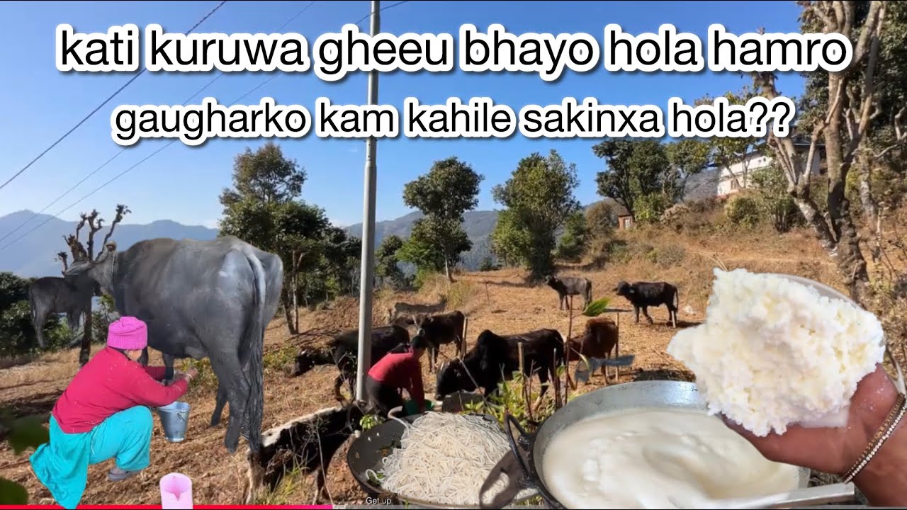 Nepal environment village work//kati kuruwa gheeu bhayo hola hamro