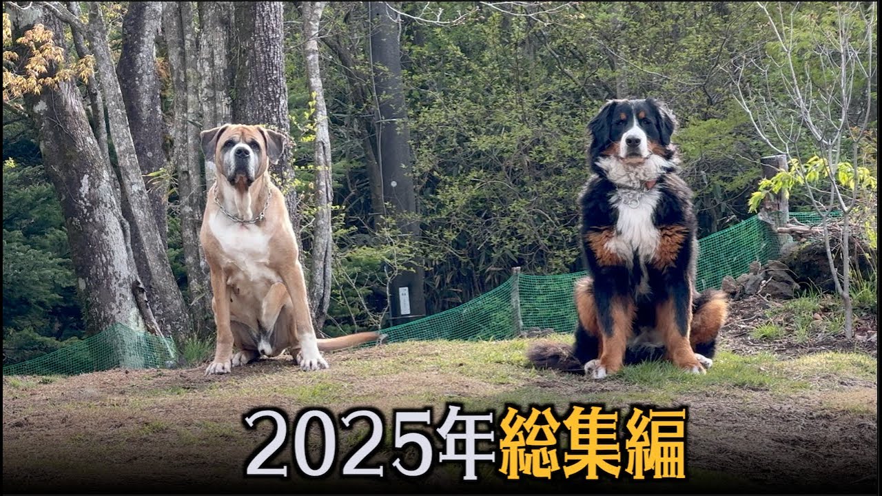 多くの新入生や姪っ子との共同生活・・2025年総集編