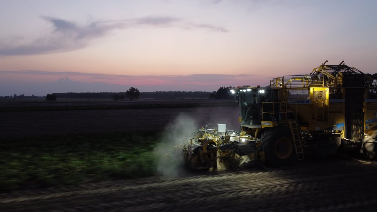 Kopanie Buraków UR Łaskarzewski 2024 Nowy Nabytek czyli Ropa Tiger 6sd
