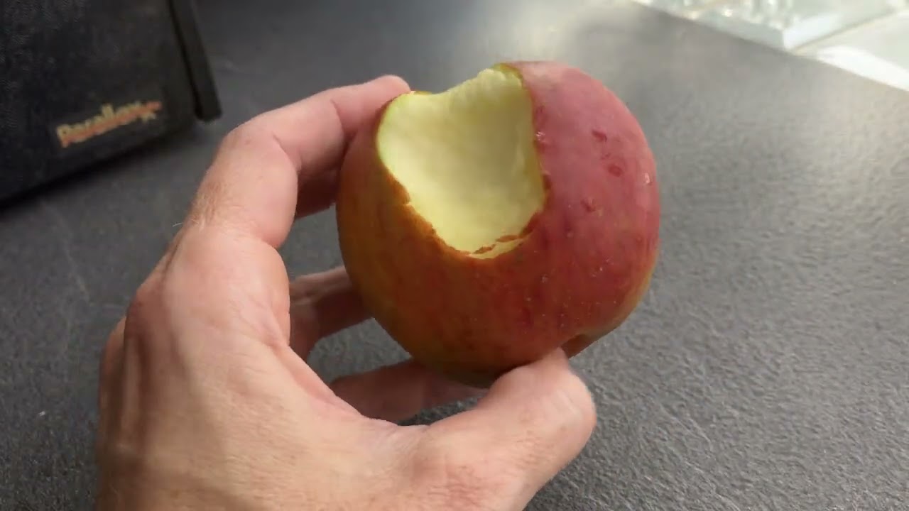 Ashmeads Kernal Apple Review - A Great Apple