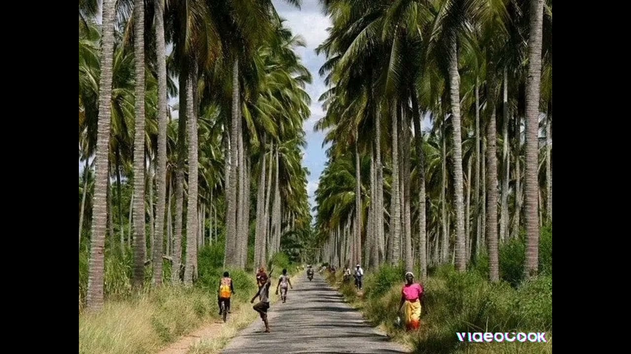 EL-Galass...Kamuloiwe anaga . [Pród.El-Galass]858586151