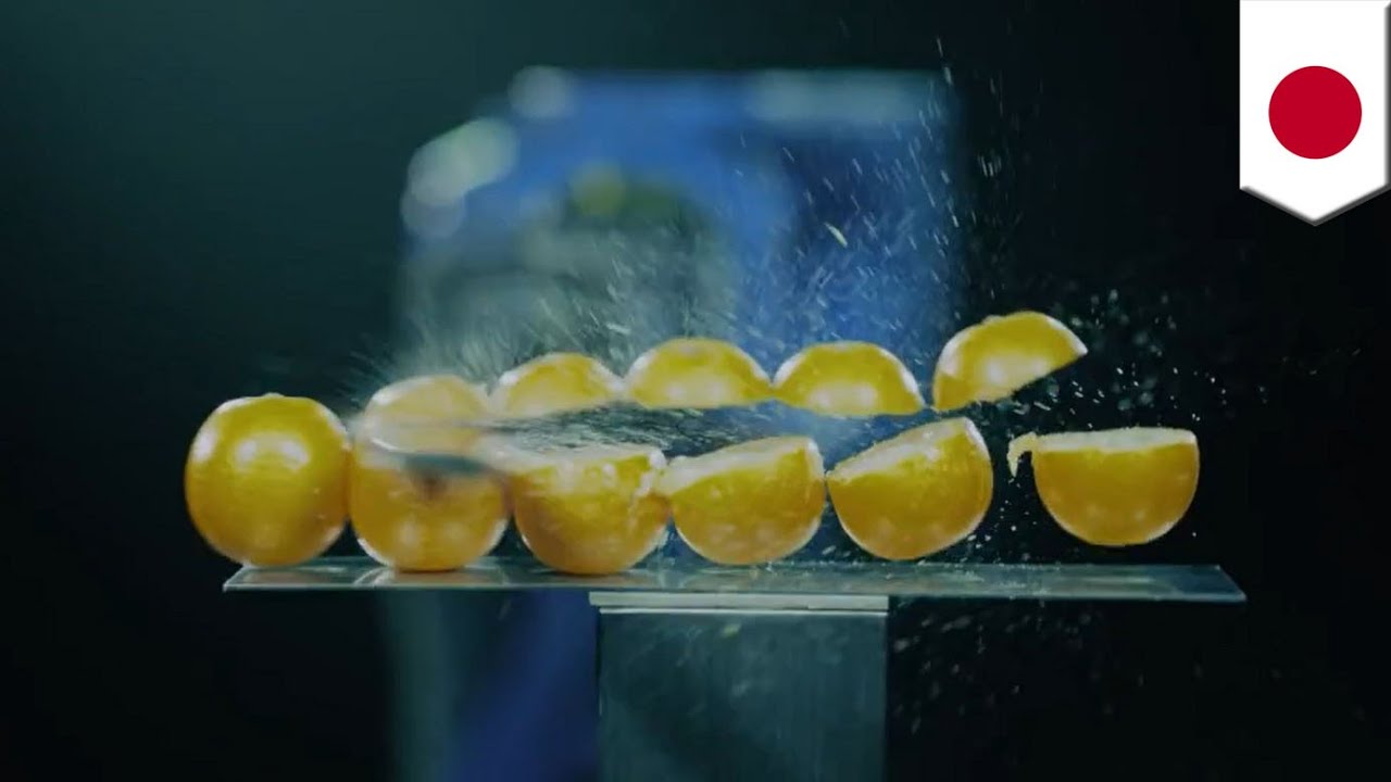 Japanese samurai robot slices and dices better than a master swordsman