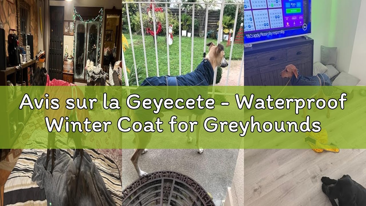 Avis sur la Geyecete - Waterproof Winter Coat for Greyhounds, Dog Sweater with Warm Fleece, Adjustab