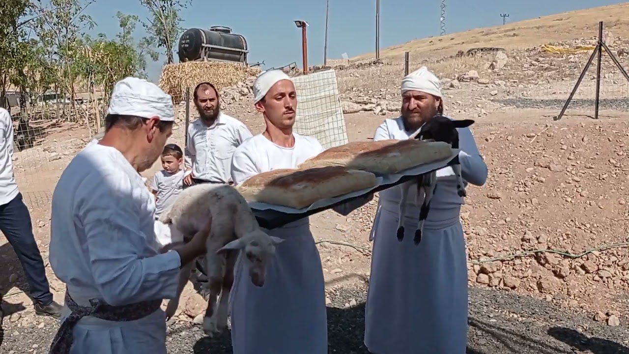 תרגול קרבן שתי הלחם תשפ