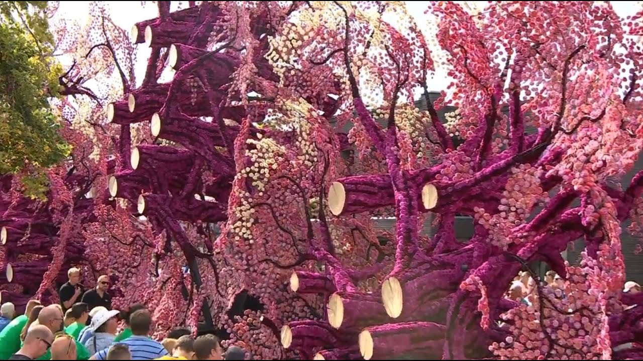 Groeimodel - Bloemencorso Zundert 2022