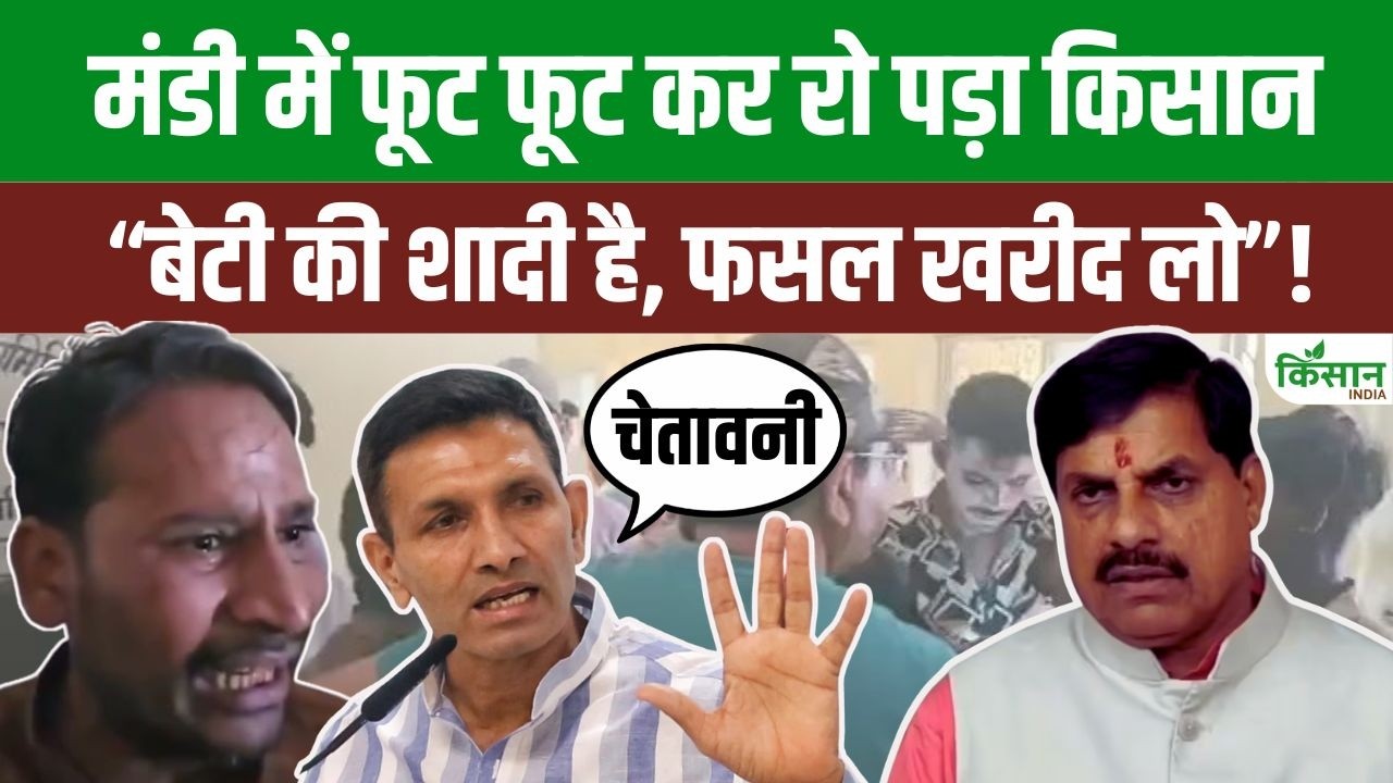 Mandi में फूट पड़ा किसान का दर्द, 